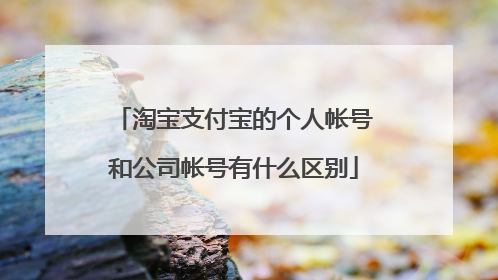 淘宝支付宝的个人帐号和公司帐号有什么区别