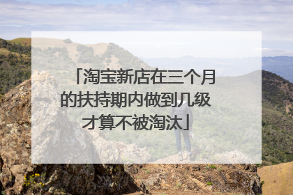 淘宝新店在三个月的扶持期内做到几级才算不被淘汰