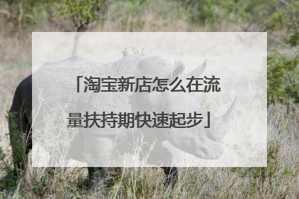 淘宝新店怎么在流量扶持期快速起步