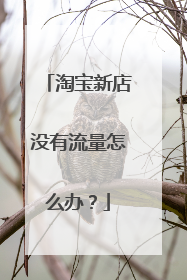 淘宝新店没有流量怎么办?