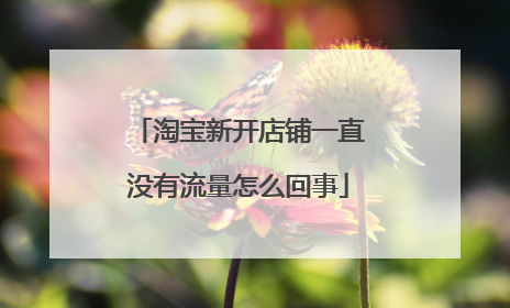 淘宝新开店铺一直没有流量怎么回事