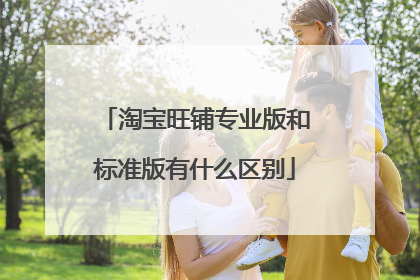 淘宝旺铺专业版和标准版有什么区别