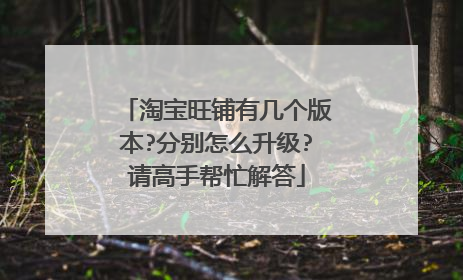 淘宝旺铺有几个版本?分别怎么升级?请高手帮忙解答