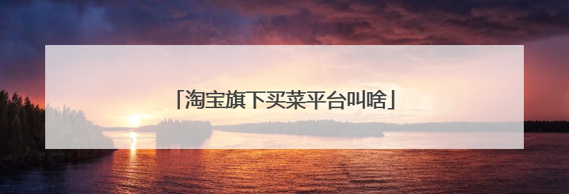 淘宝旗下买菜平台叫啥