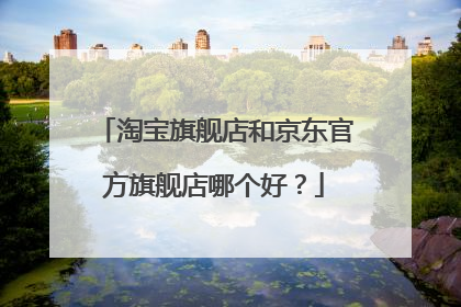 淘宝旗舰店和京东官方旗舰店哪个好？