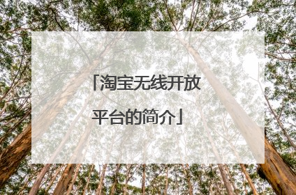 淘宝无线开放平台的简介