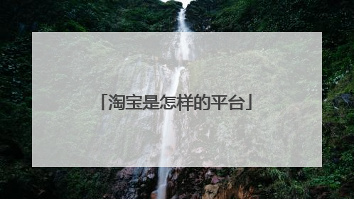 淘宝是怎样的平台