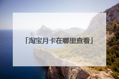 淘宝月卡在哪里查看