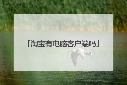 淘宝有电脑客户端吗