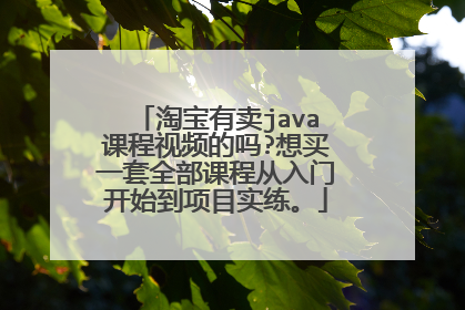 淘宝有卖java课程视频的吗?想买一套全部课程从入门开始到项目实练。