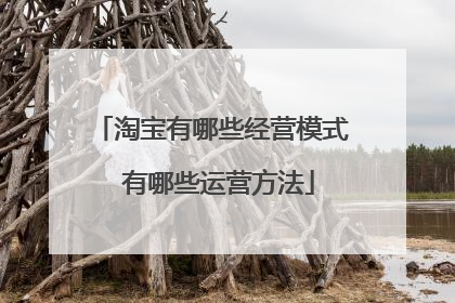 淘宝有哪些经营模式 有哪些运营方法