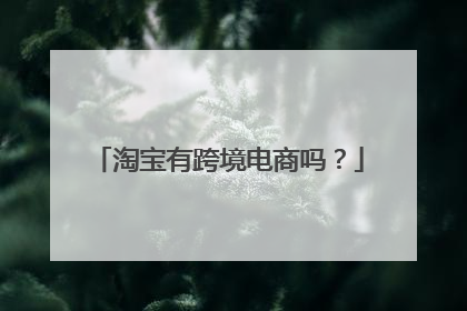淘宝有跨境电商吗?