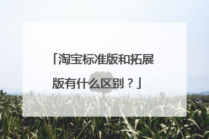 淘宝标准版和拓展版有什么区别?