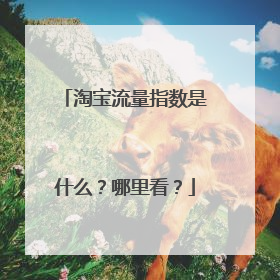 淘宝流量指数是什么?哪里看?