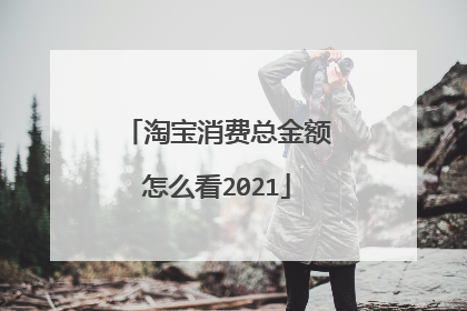 淘宝消费总金额怎么看2021