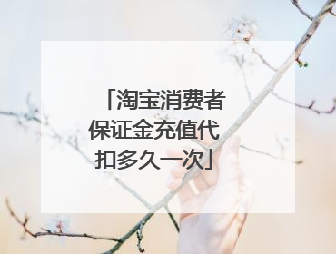 淘宝消费者保证金充值代扣多久一次