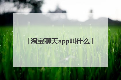 淘宝聊天app叫什么