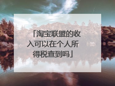 淘宝联盟的收入可以在个人所得税查到吗