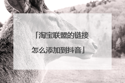 淘宝联盟的链接怎么添加到抖音