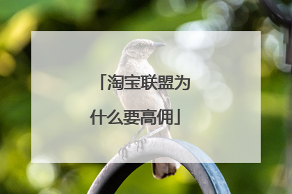淘宝联盟为什么要高佣