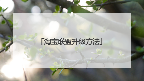 淘宝联盟升级方法