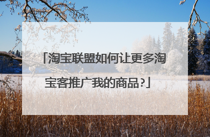淘宝联盟如何让更多淘宝客推广我的商品?