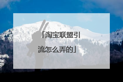 淘宝联盟引流怎么弄的