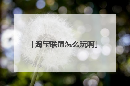 淘宝联盟怎么玩啊