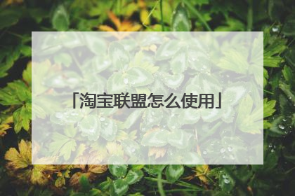 淘宝联盟怎么使用