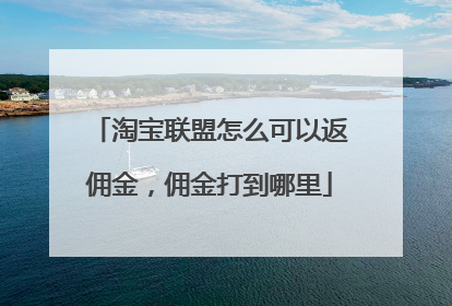 淘宝联盟怎么可以返佣金,佣金打到哪里