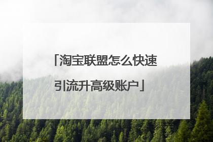 淘宝联盟怎么快速引流升高级账户