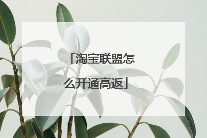 淘宝联盟怎么开通高返