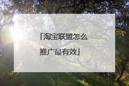 淘宝联盟怎么推广最有效