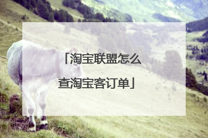 淘宝联盟怎么查淘宝客订单