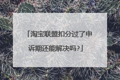 淘宝联盟扣分过了申诉期还能解决吗?