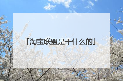 淘宝联盟是干什么的