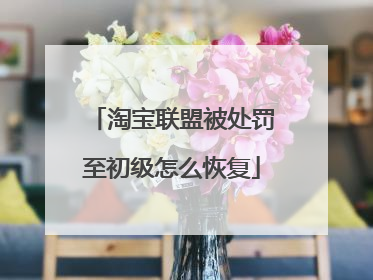 淘宝联盟被处罚至初级怎么恢复