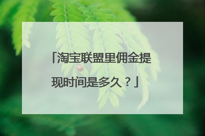 淘宝联盟里佣金提现时间是多久?