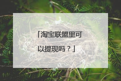 淘宝联盟里可以提现吗?