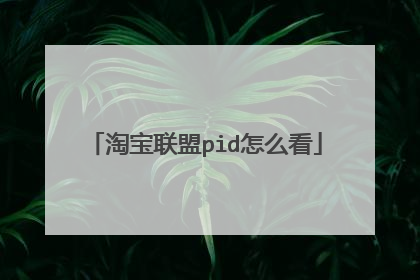淘宝联盟pid怎么看