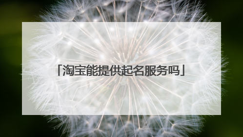 淘宝能提供起名服务吗