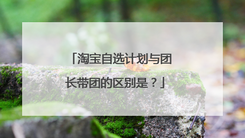淘宝自选计划与团长带团的区别是?