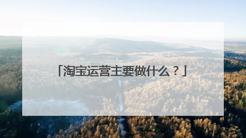 淘宝运营主要做什么？
