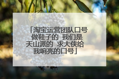 淘宝运营团队口号 做鞋子的 我们是天山派的 求大侠给我响亮的口号