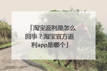 淘宝返利是怎么回事?淘宝官方返利app是哪个