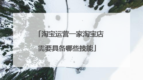 淘宝运营一家淘宝店需要具备哪些技能
