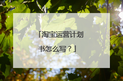 淘宝运营计划书怎么写?