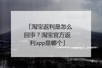淘宝返利是怎么回事?淘宝官方返利app是哪个