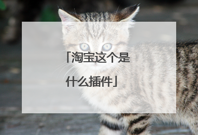 淘宝这个是什么插件
