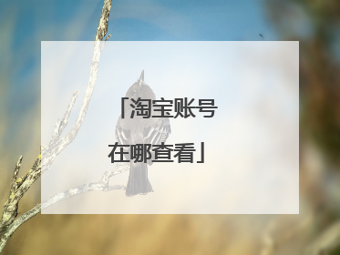 淘宝账号在哪查看